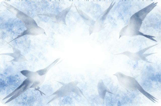 あの鳥は、あなた自身だった——鳥の夢が伝えてくること